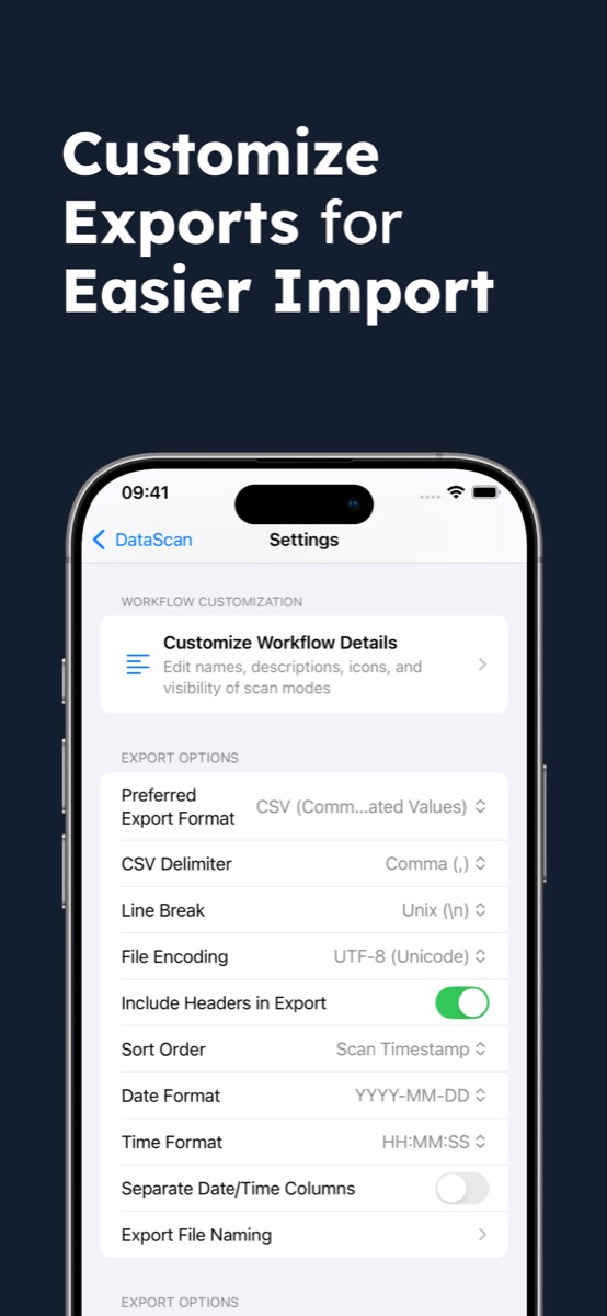 CSV export settings with delimiter, file encoding, headers, sort order and date format for clean spreadsheet imports